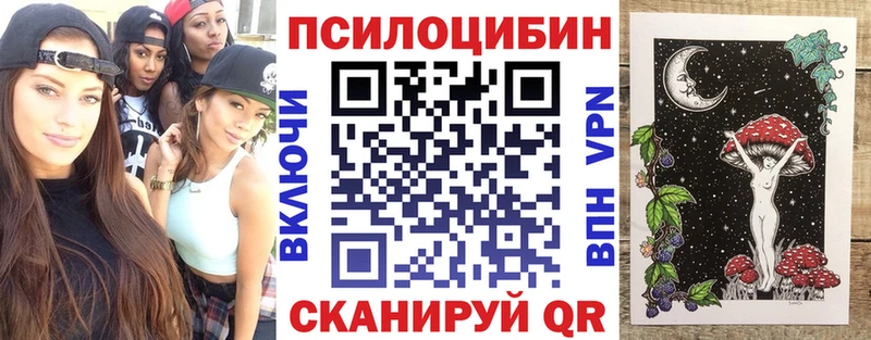 Купить где  Лодейное Поле  Псилоцибиновые грибы ЛСД 